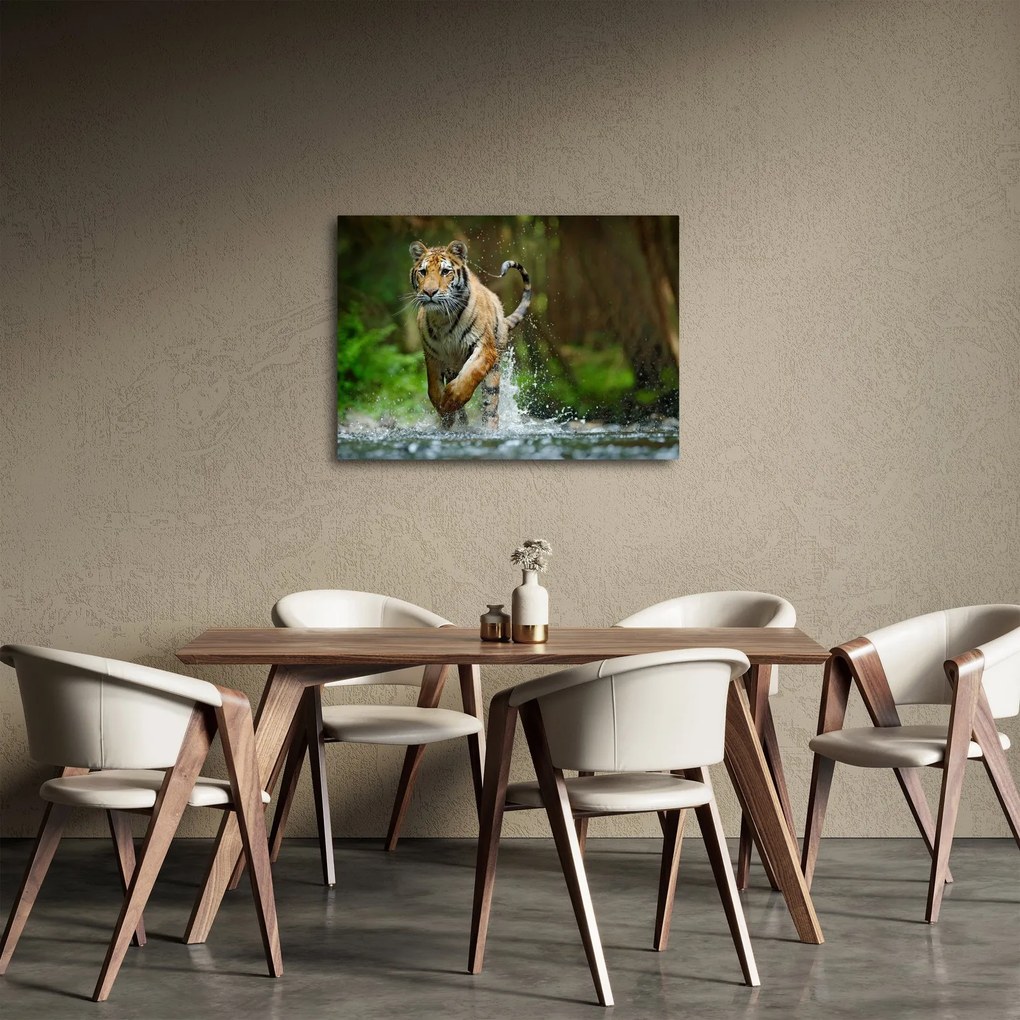 Obraz biegnącego tygrysa (70x50 cm)
