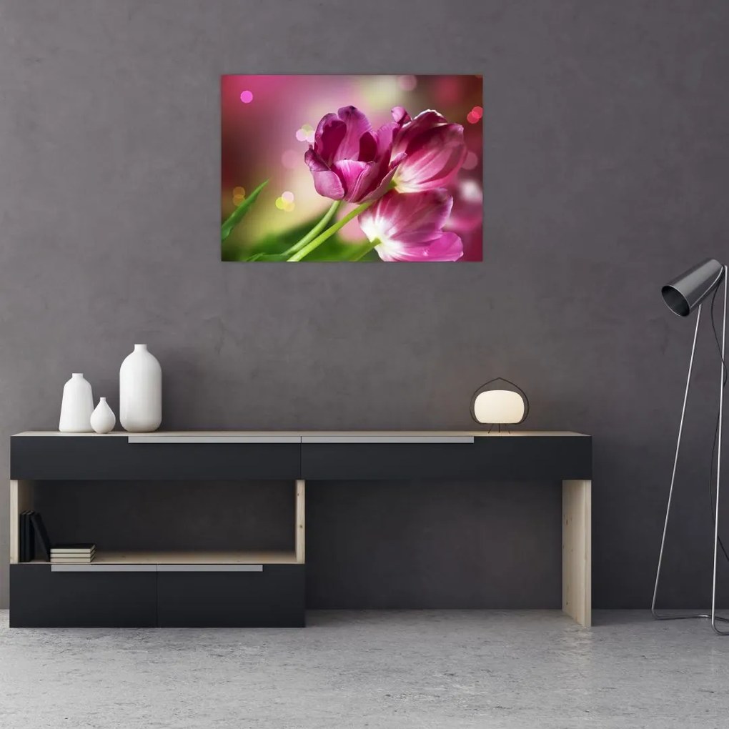 Obraz na szkle - różowe tulipany (70x50 cm)