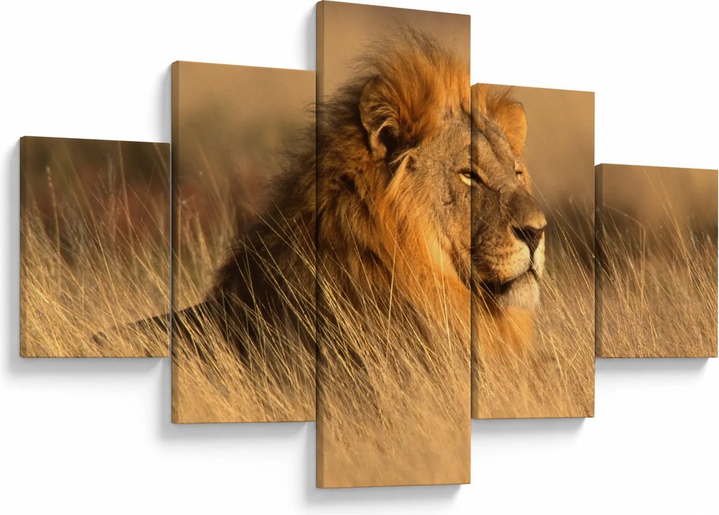 Obraz - Park Narodowy Etosha (125x70 cm)
