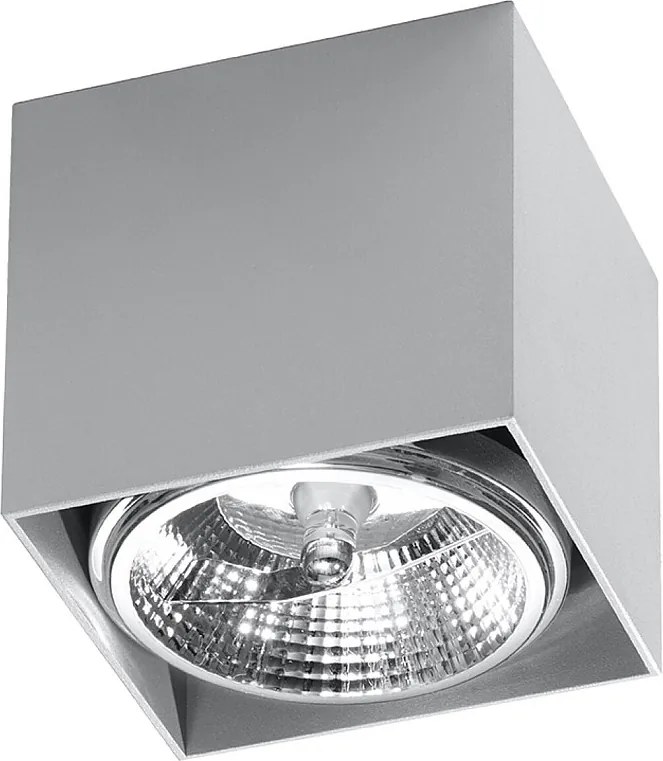 Plafony Nowoczesny Blake, Aluminium - 1 Źródło - L.12 X H.11 Cm - Szary