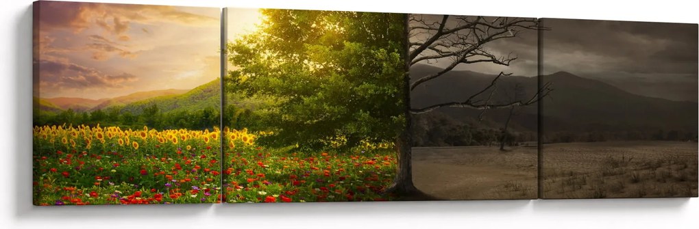 Obraz - Cykl życia (170x50 cm)