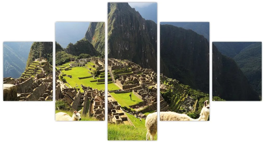 Obraz - Lamy na Machu Picchu (125x70 cm)