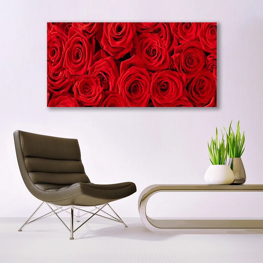 Obraz Canvas Róże Kwiaty Roślina