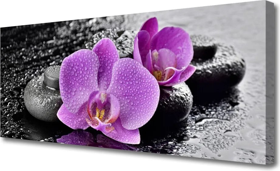 Fotoobraz na płótnie Egzotyczna Orchidea w Gabinecie Spa