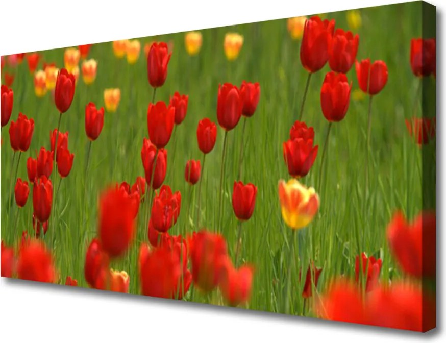 Obraz na płótnie Wiosenna Świeżość Tulipanów