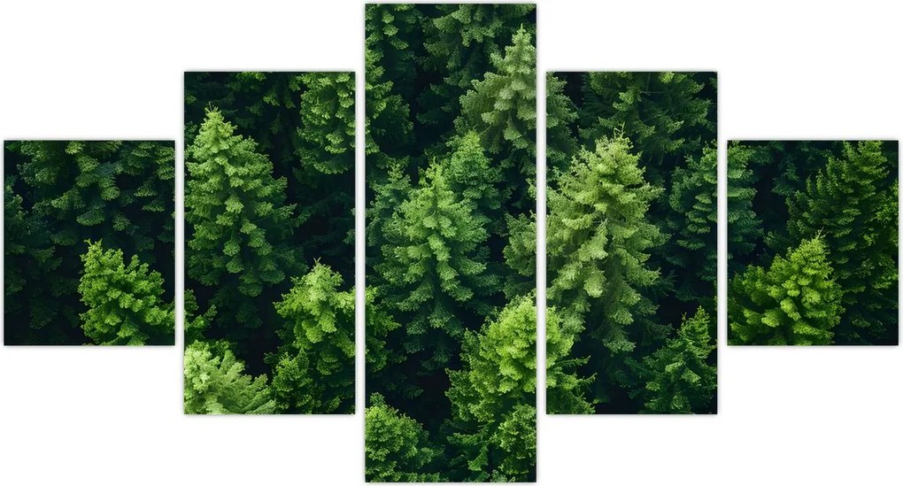Obraz - Las (125x70 cm)