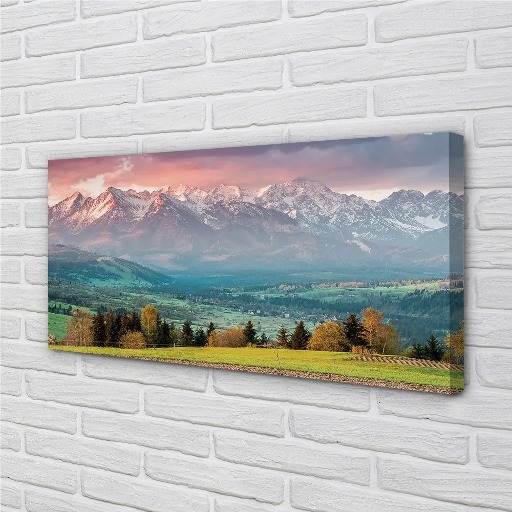 Obraz drukowany na płótnie Góry i Pola