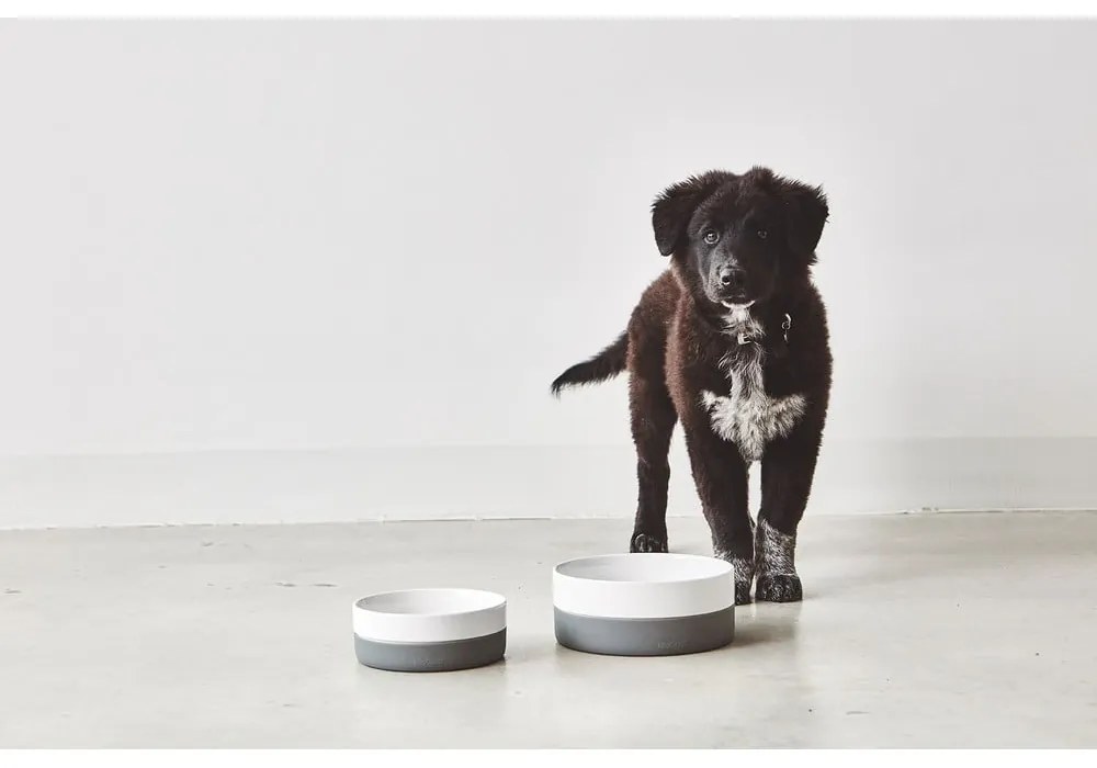 Porcelanowa miska dla psów ø 17,5 cm Coppa Slate S/M – MiaCara