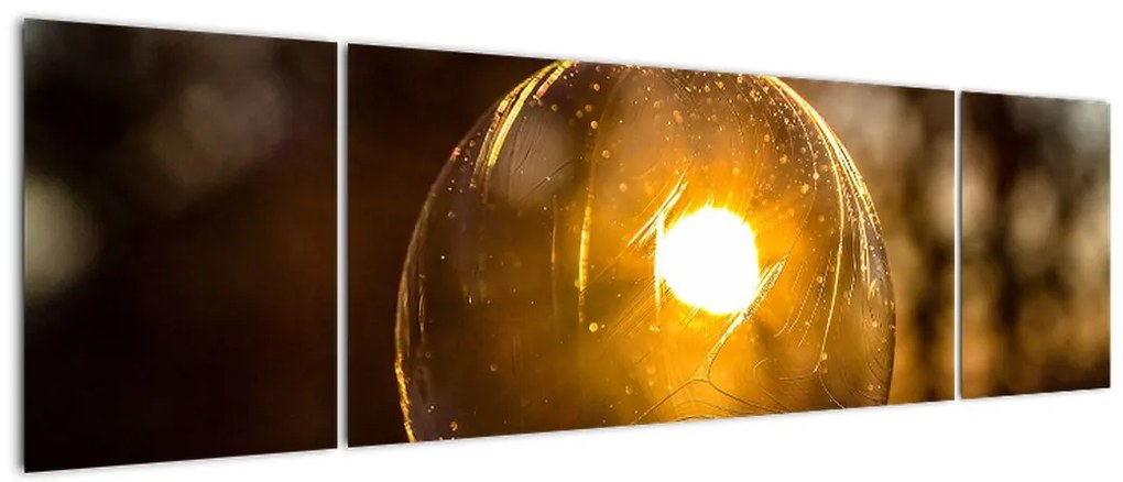 Obraz - Przezroczysta bańka (170x50 cm)