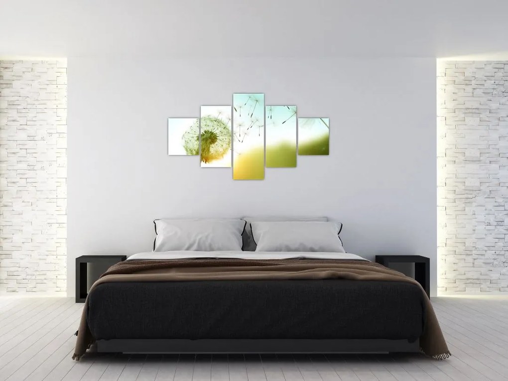 Obraz - Dmuchawiec na wietrze (125x70 cm)