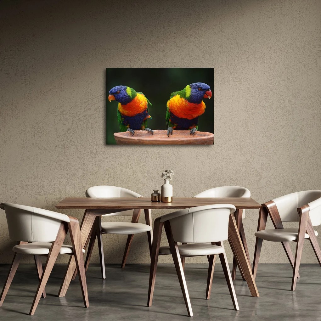 Obraz papug (70x50 cm)