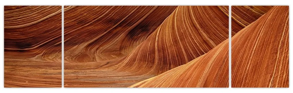 Obraz - Czerwony piasek (170x50 cm)