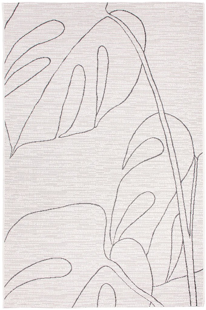 Dywan Lineo 2 A264/9H01 080x150 Prostokąt