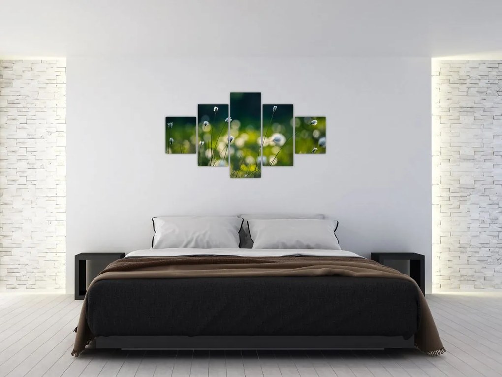 Obraz - Trawa (125x70 cm)