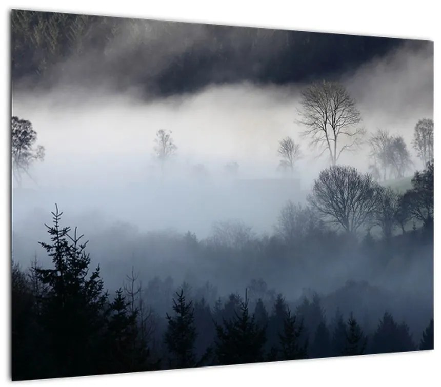 Obraz mgły nad lasem (70x50 cm)