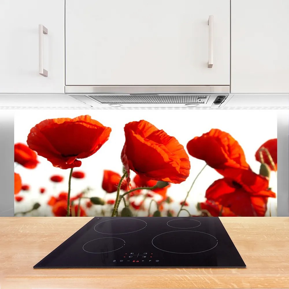 Panel Kuchenny Czerwone Maki O Poranku