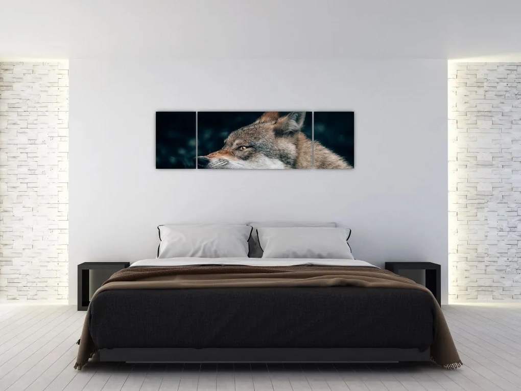 Obraz wilka (170x50 cm)