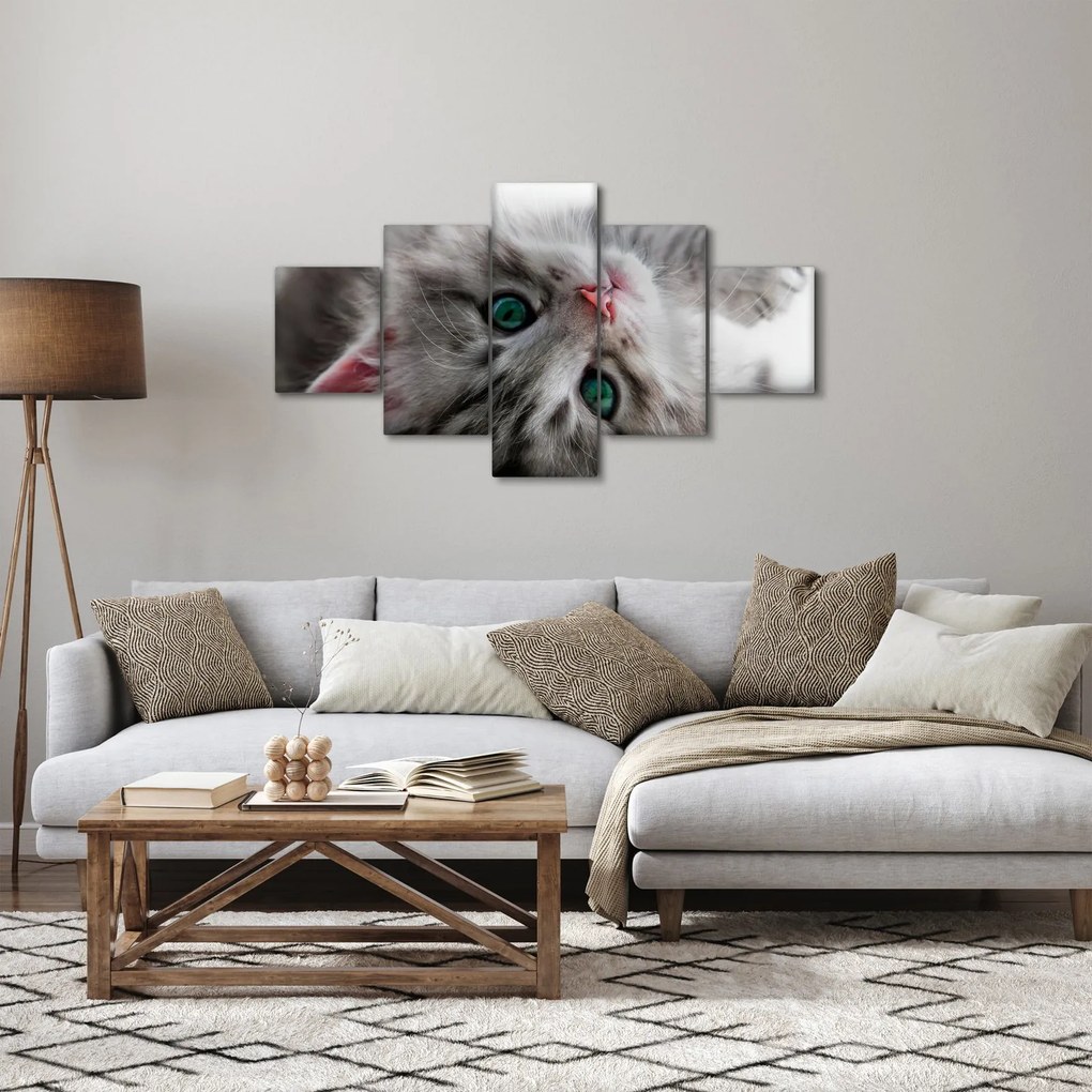 Obraz - Kot z zielonymi oczami (125x70 cm)