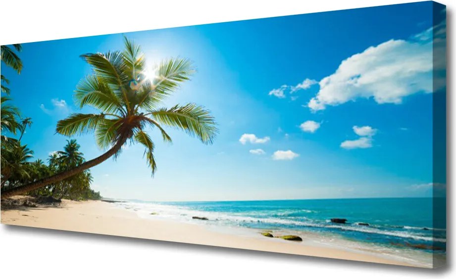 Zdjęcie na płótnie Tropikalny Raj pod Palmą