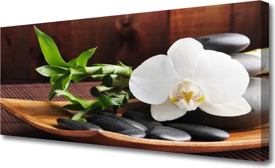 Obraz canvas Harmonijny Duet: Bambus i Storczyk