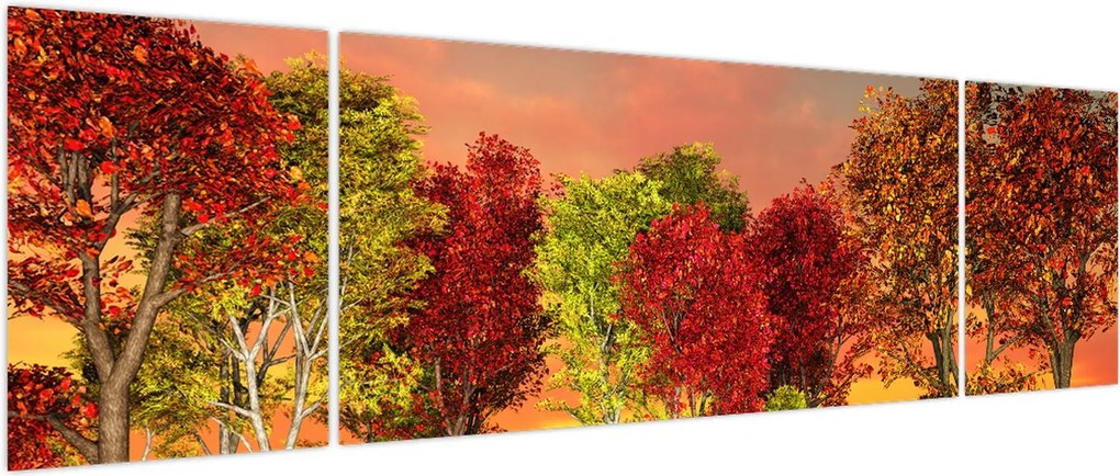 Obraz - Kolorowe drzewa (170x50 cm)