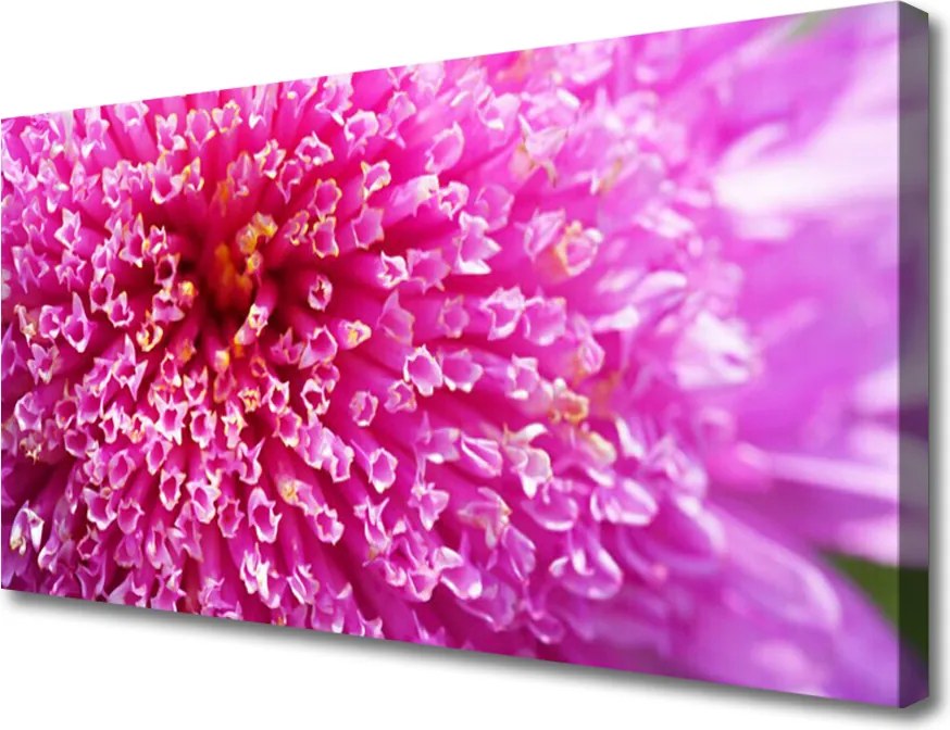 Obraz na płótnie Botaniczna Dekoracja Ścienna