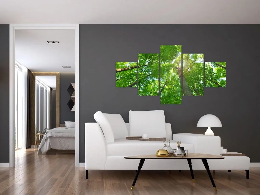 Obraz - Las (125x70 cm)