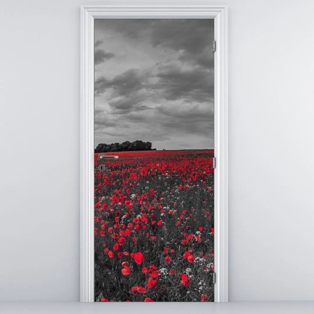 Fototapeta na drzwi - Maki (95x205cm)