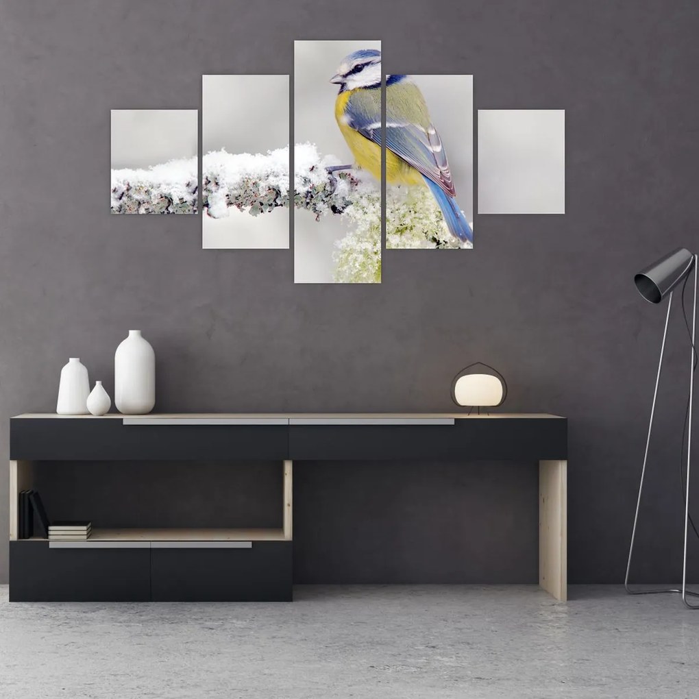 Obraz - Sikora modraszka w lesie (125x70 cm)