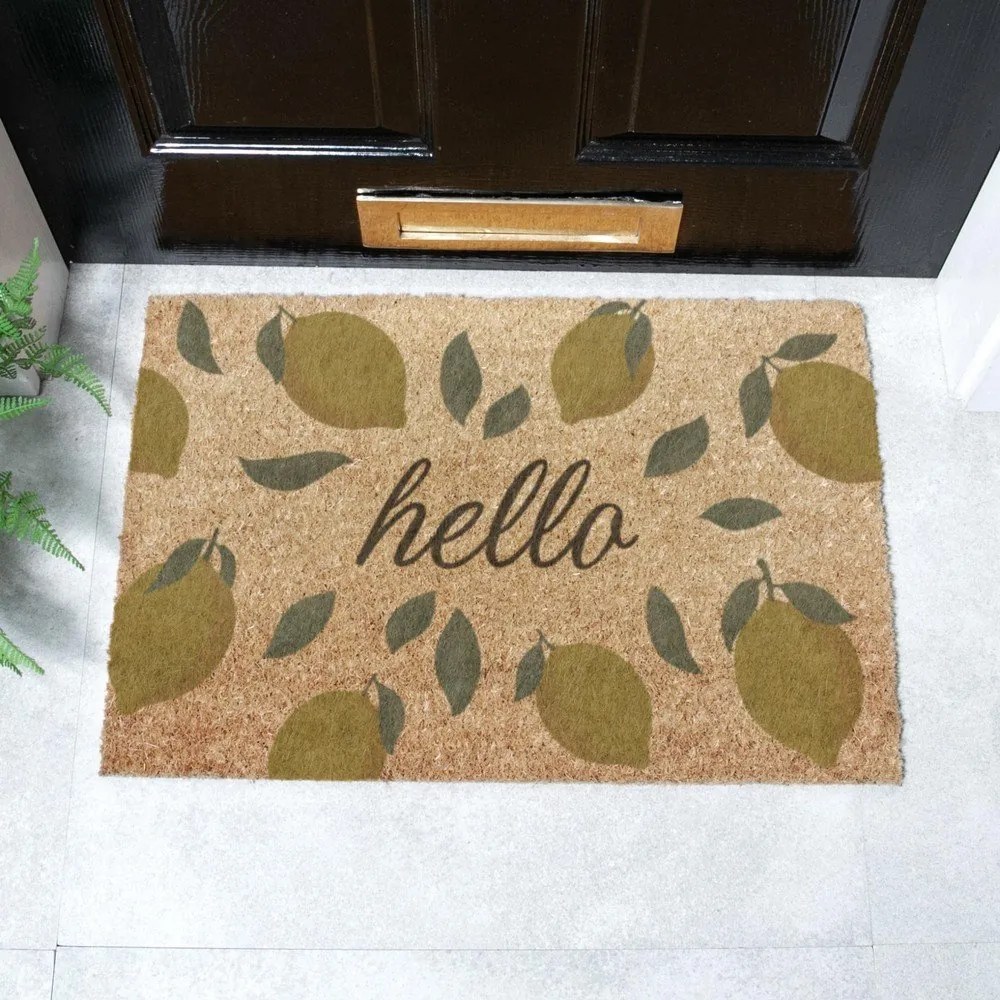 Wycieraczka z włókna kokosowego 40x60 cm Hello Lemons – Artsy Doormats