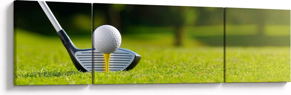 Obraz - Golf (170x50 cm)