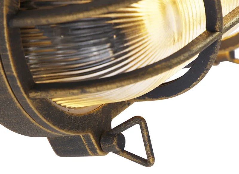 Lampa ścienna i sufitowa złoto/mosiądz owalna IP44 - Noutica