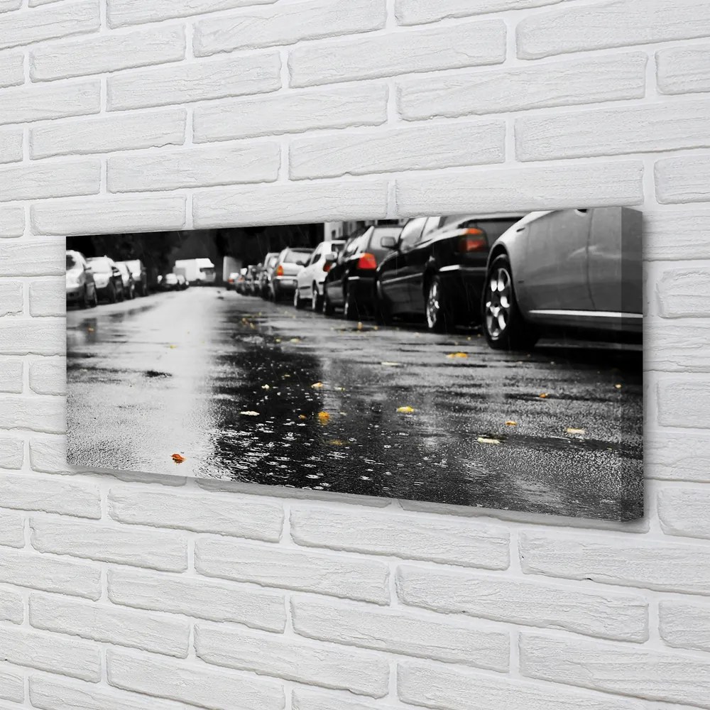 Zdjęcie na płótnie Samochód na Jesiennej Drodze