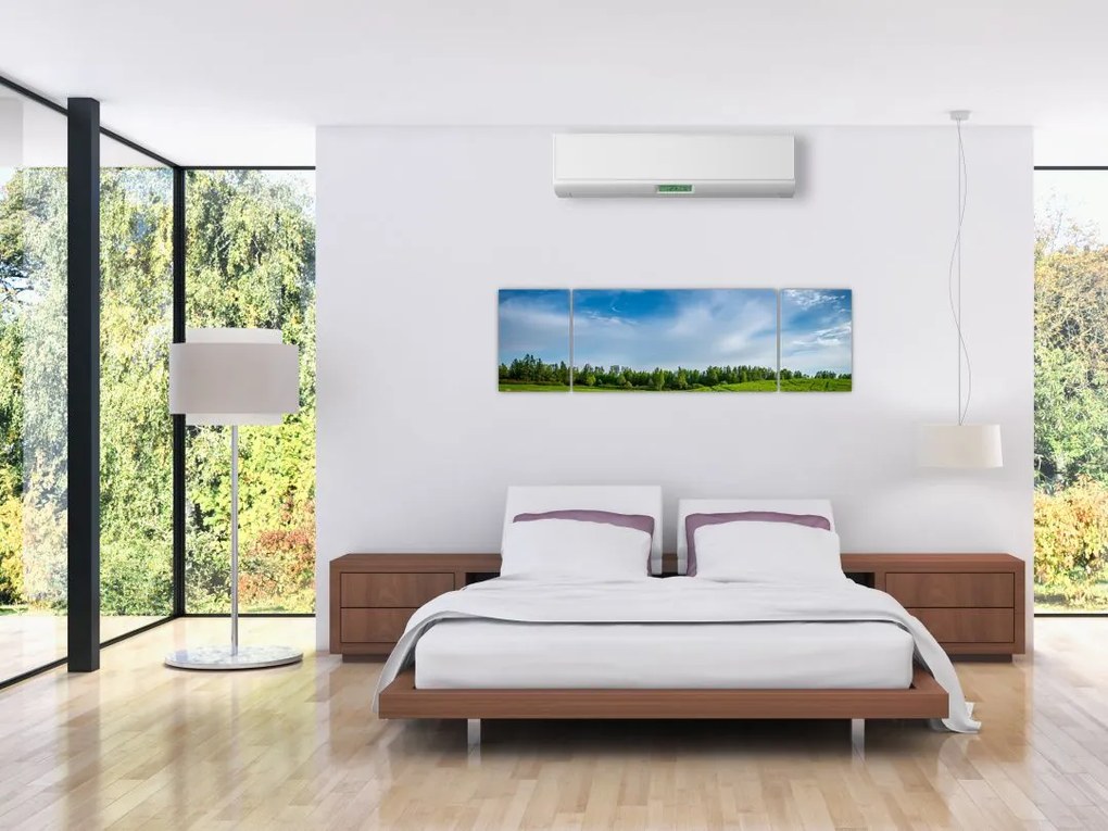 Obraz łąki (170x50 cm)