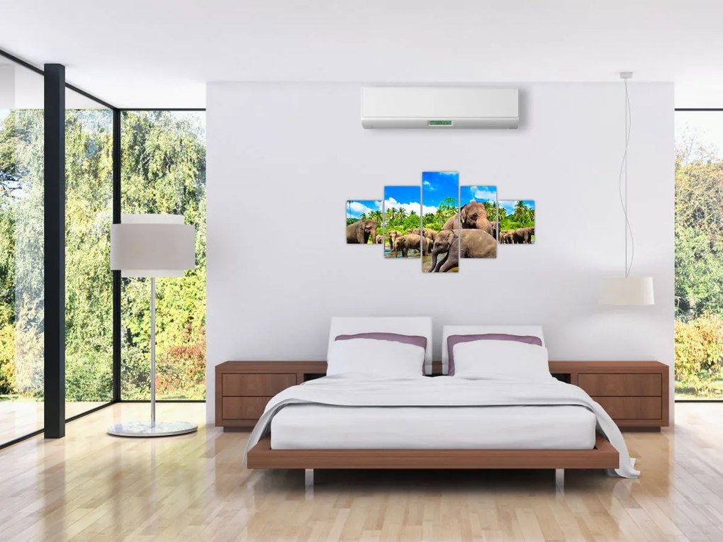 Obraz - Słonie, Sri Lanka (125x70 cm)