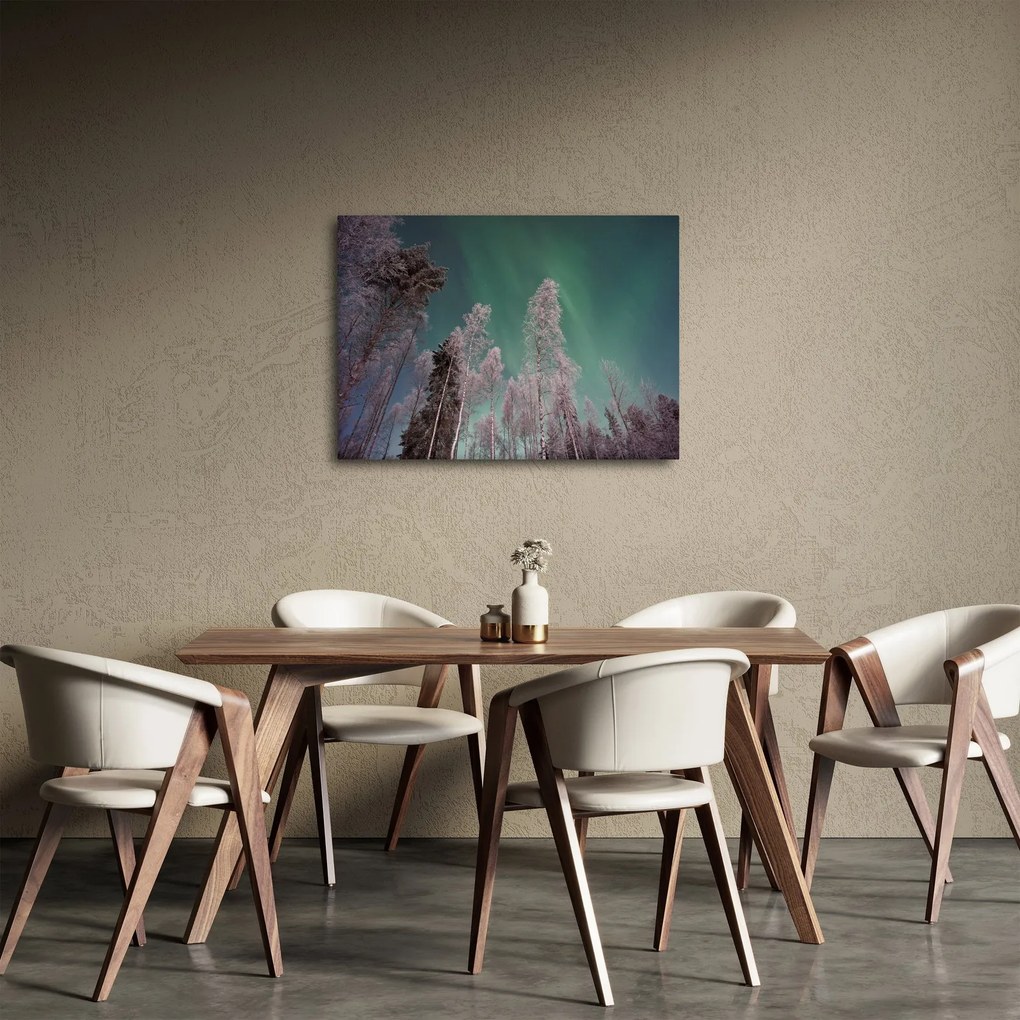 Obraz zorzy polarnej nad zamarzniętymi drzewami (70x50 cm)
