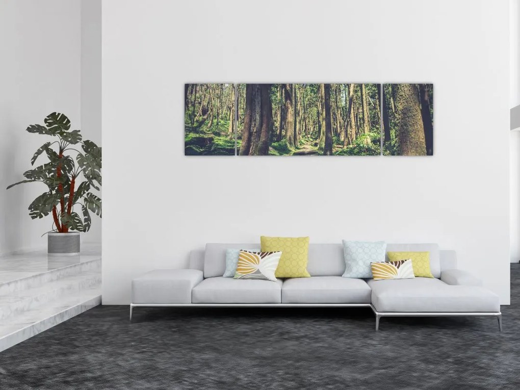 Obraz ścieżki pomiędzy drzewami (170x50 cm)