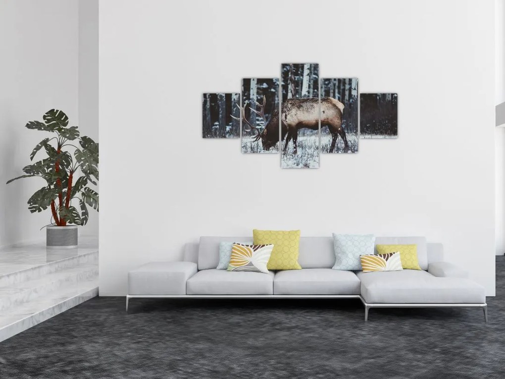 Obraz - jeleń zimą (125x70 cm)