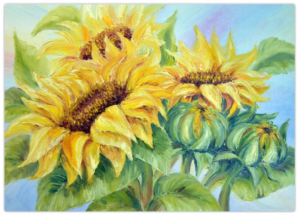 Obraz kwitnących słoneczników (70x50 cm)