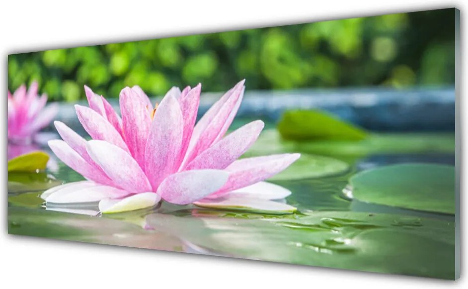 Panel Szklany Kwiat Lotosu na Lustrze Wody