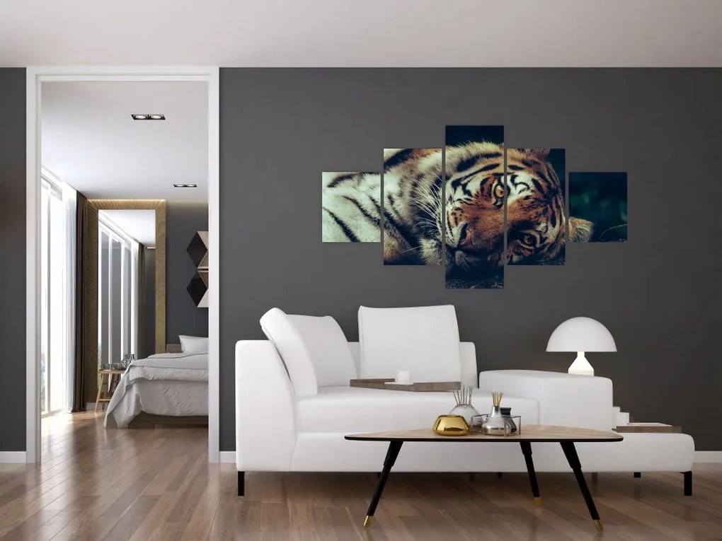 Obraz - tygrys syberyjski (125x70 cm)