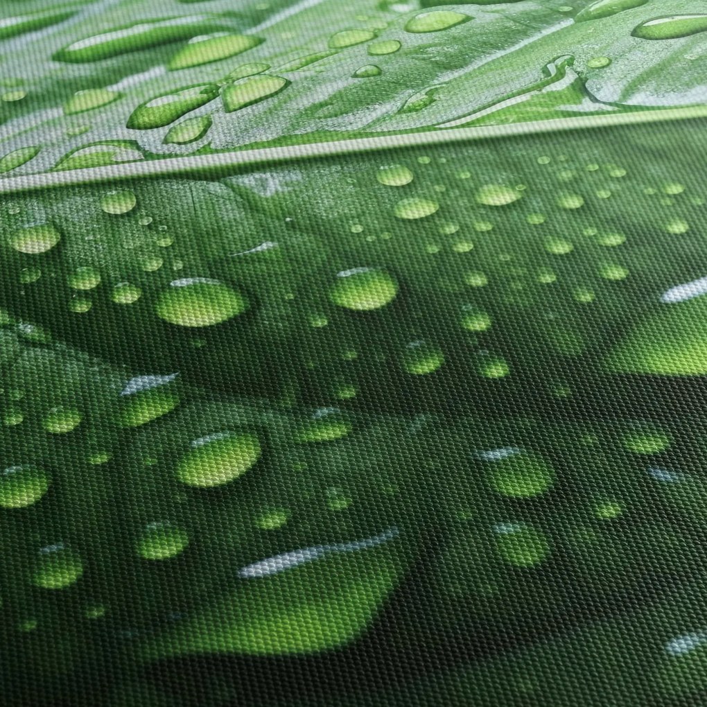 Obraz - Szczegół liścia po deszczu (z zegarem) (90x30 cm)