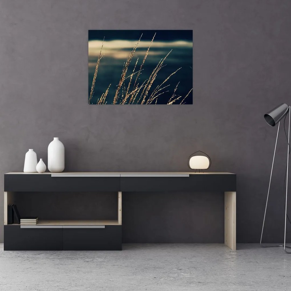 Obraz na szkle traw (70x50 cm)