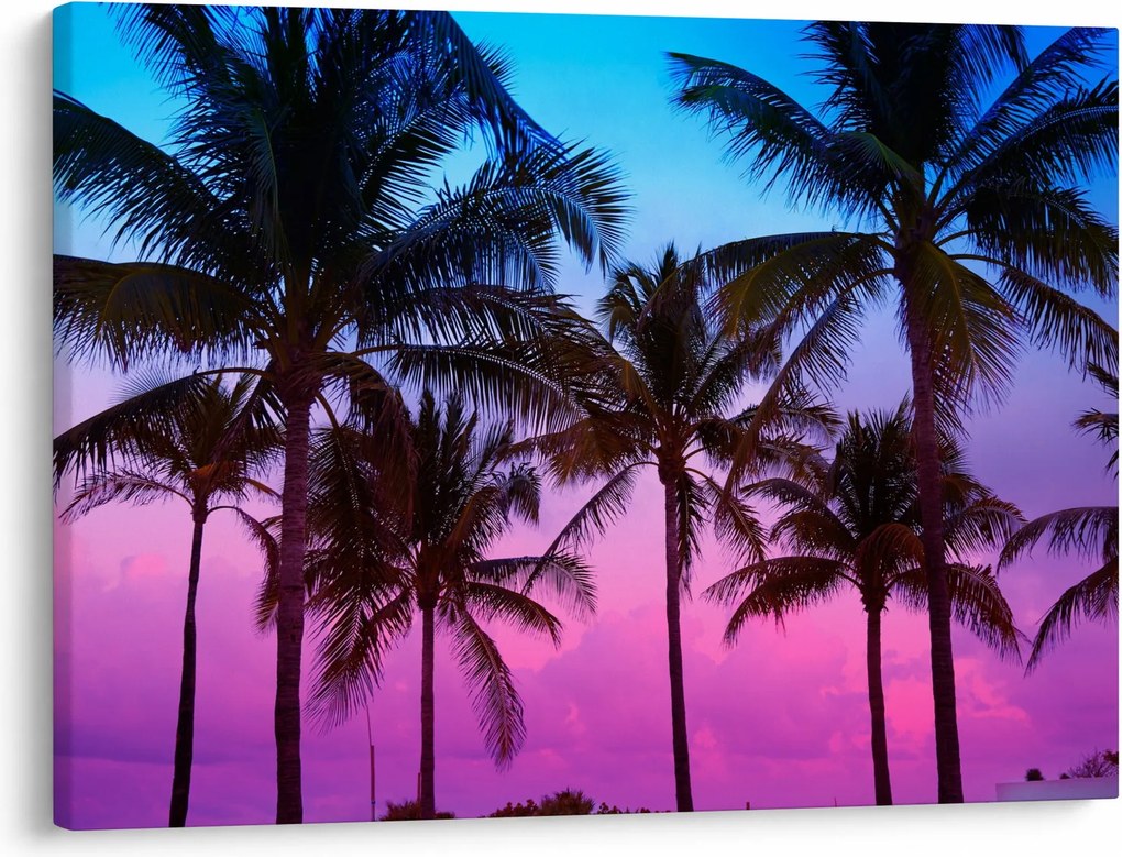 Obraz - Palmy w Miami (70x50 cm)