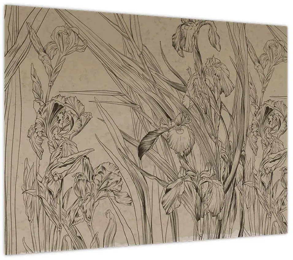 Obraz - Kontury roślin (70x50 cm)