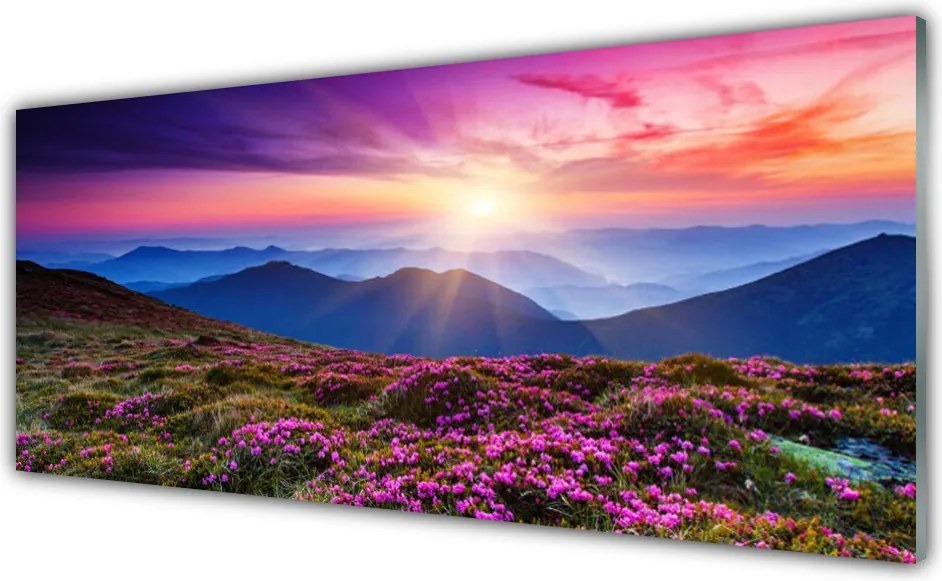 Panel Kuchenny Kwiatowa Polana W Górach