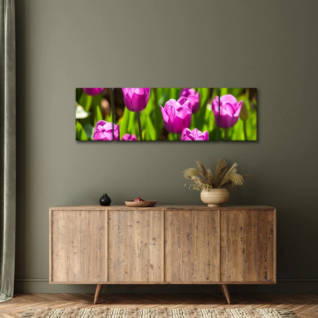 Obraz tulipanów na łące (170x50 cm)