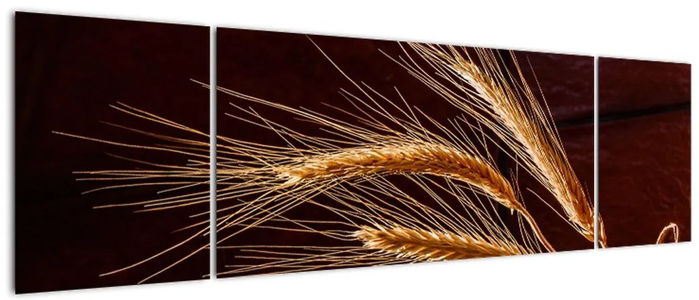 Obraz - Fragment kłosa żyta (170x50 cm)