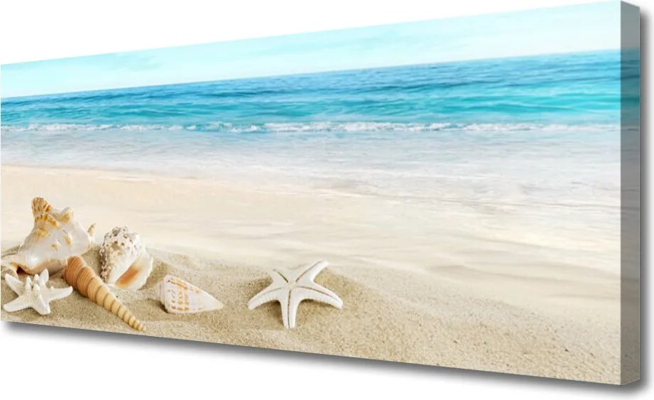 Zdjęcie na płótnie Nadmorskie Skarby Oceanu