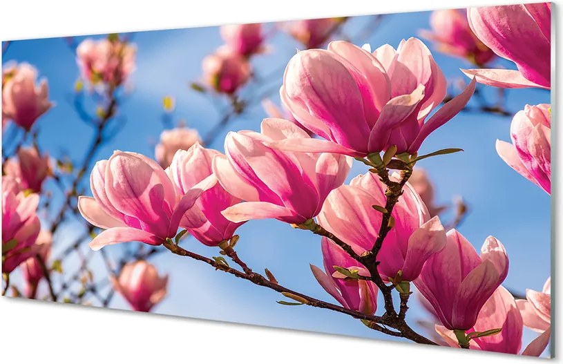 Panel Kuchenny Szklany Wiosenny Sad w Rozkwicie